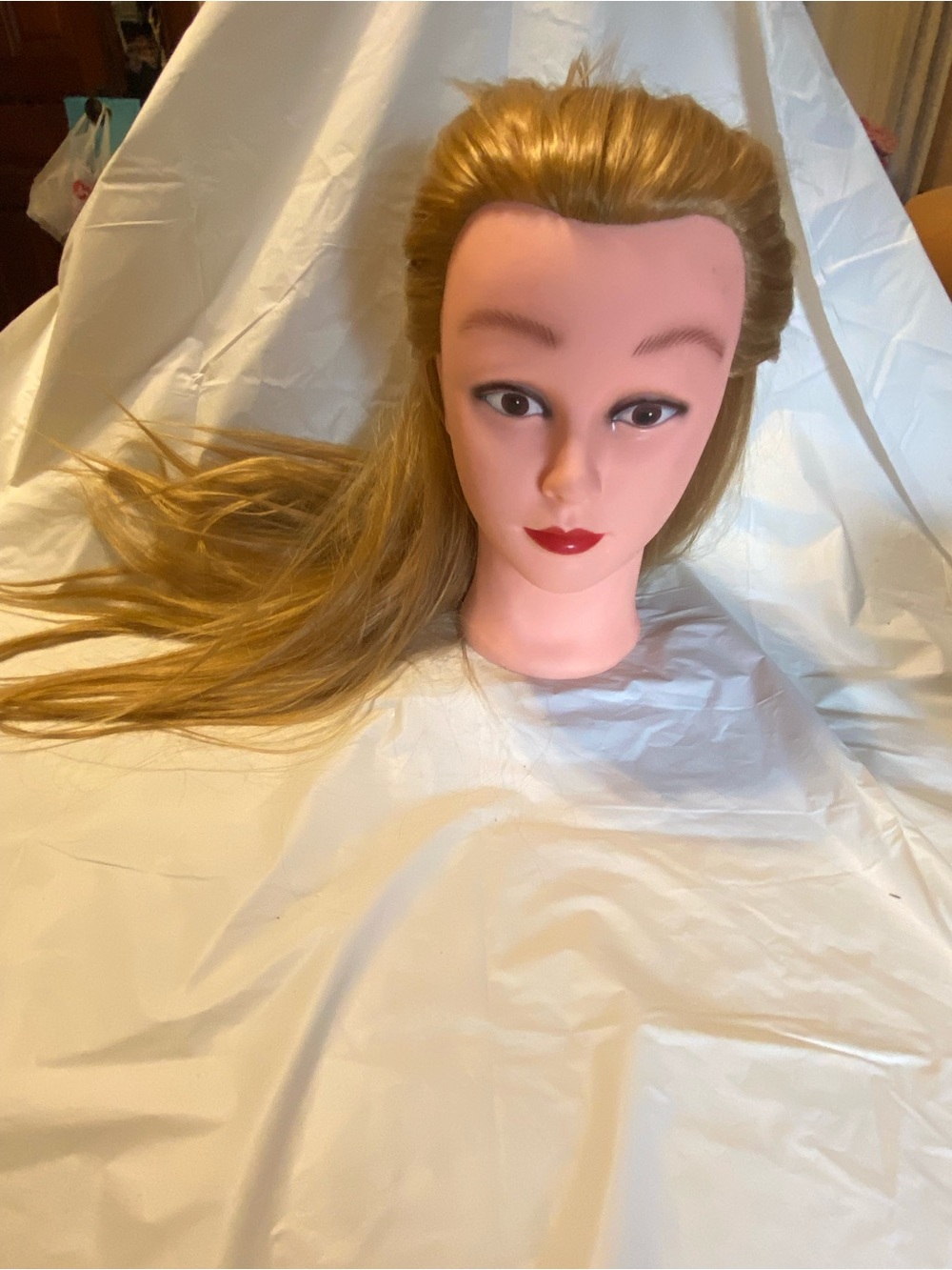 Training Mannequin Head with Long Blonde Hair - Salon Practice Model